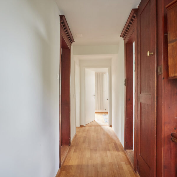 2024_09_17_dalmaziran0185